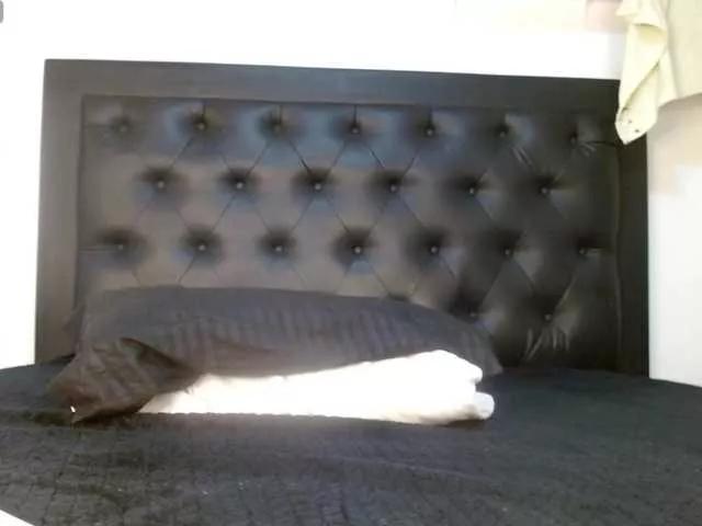 Candy-happy18 from BongaCams is Freechat