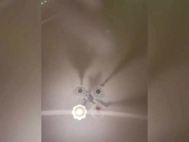 MaryMistress91 from BongaCams is Freechat