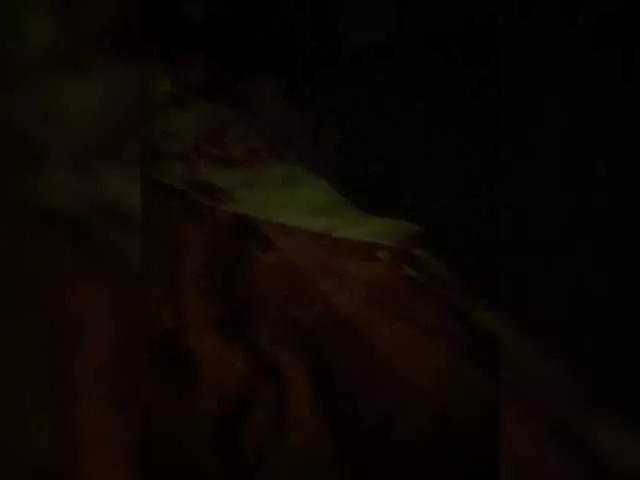 MokoMila from BongaCams