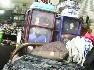gardeniafields from CamSoda is Freechat