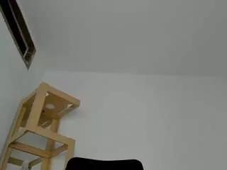 mafestar777 from CamSoda is Freechat