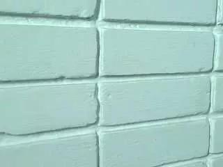 meganfiire from CamSoda is Freechat