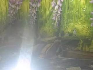 mysweetsofie-liam from CamSoda is Freechat