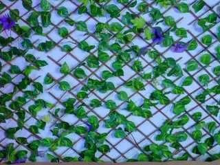 sarah-baker01 from CamSoda is Freechat