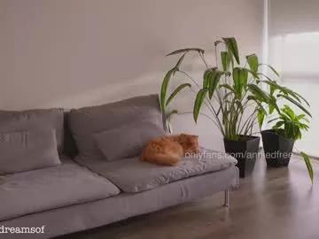 annie_dreams from Chaturbate is Freechat