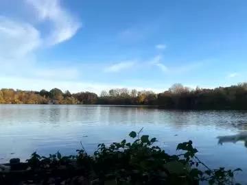 germanwankingman92 from Chaturbate is Freechat