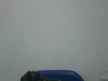 lovecumsluttie from Chaturbate is Freechat