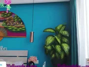 mellisaangel from Chaturbate is Freechat