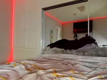 starlitdreams777 from Chaturbate is Freechat