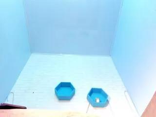 ivyy_bliss from Flirt4Free is Freechat