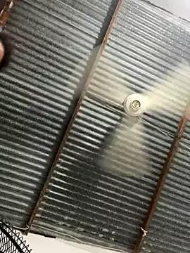 cutiepeach from StripChat is Freechat