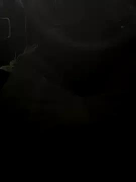 Girls free live sex cams: Check out the satisfaction of typing and cam2cam with our sensual livestreamers, who will teach you all about temptation and desires with their smoking hot physiques.