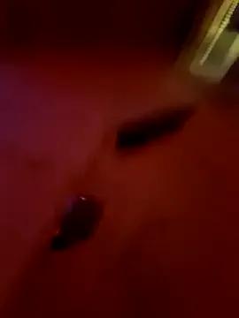 Photos of Iitaniee from StripChat is Freechat