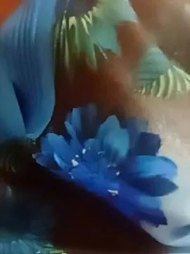 Payal_Bhabi from StripChat