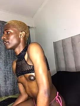 Trans_fairy from StripChat is Freechat