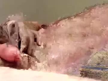 Freechat diegomoreno19 on Chaturbate