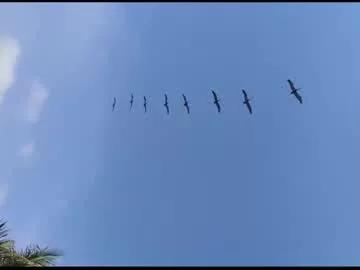 Freechat juana1hin on Chaturbate