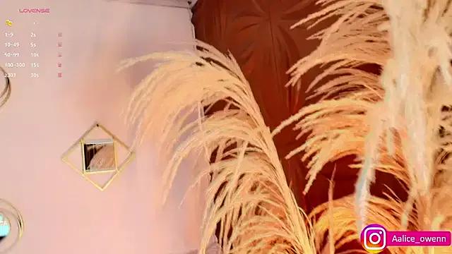 Freechat Aliceowenn on StripChat