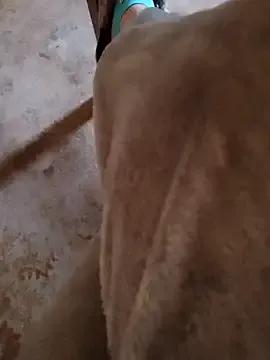 Avatar of Alinasis23