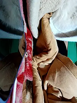 Freechat Bear_bear0 on StripChat