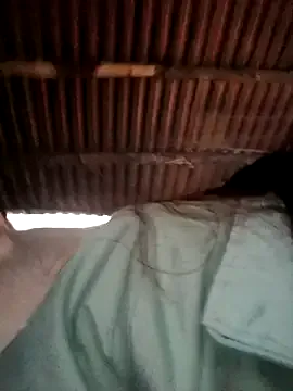 Freechat Bear_bear0 on StripChat