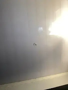 Group BlueIceCube on StripChat