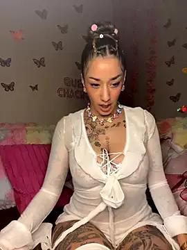 Freechat Chachou000 on StripChat