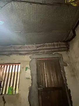 chenyu0308 — Toy insertion