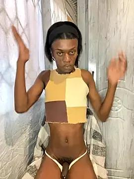 Freechat gingergirl67_ on StripChat