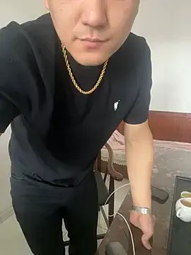 GoldLoge model from sc