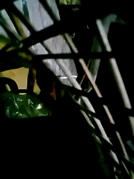 Freechat him220 on StripChat