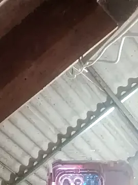 Lin-miuu model from sc