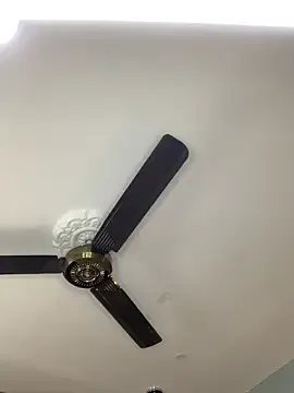 Freechat Orianabluee_ on StripChat