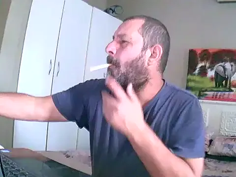 palmview2 model from sc