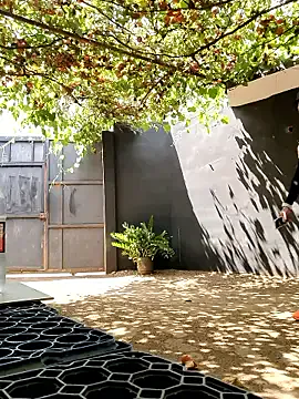 Freechat PIGHIGHDIRTY_p0 on StripChat