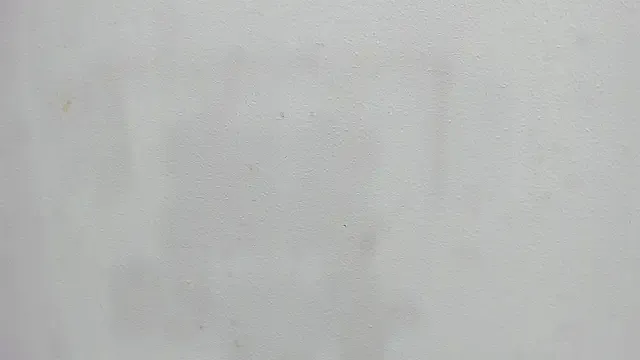 Freechat scarlett646 on StripChat