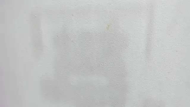 Freechat scarlett646 on StripChat