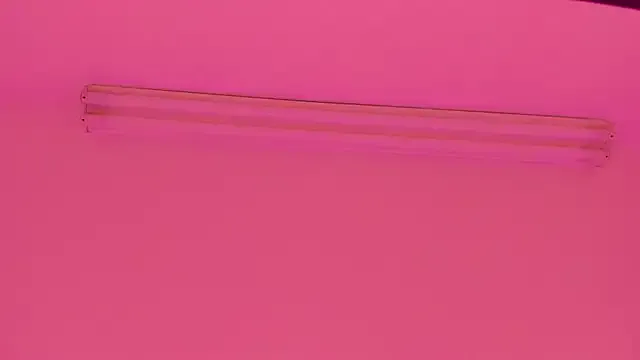 Freechat ShaniaBrownn on StripChat